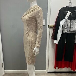 Long Sleeve Sequin Sheath Dress in Cream